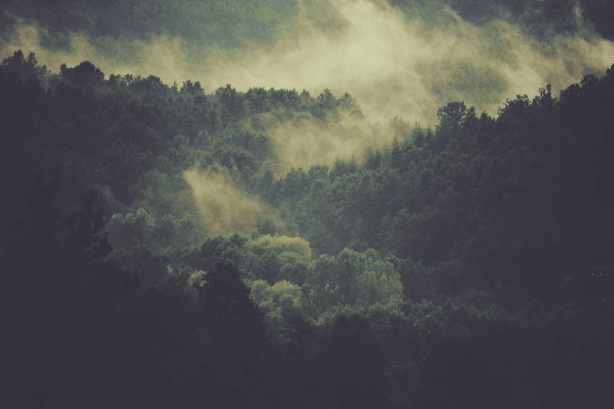 AI Innovation in HR Technology: 2025 Trends